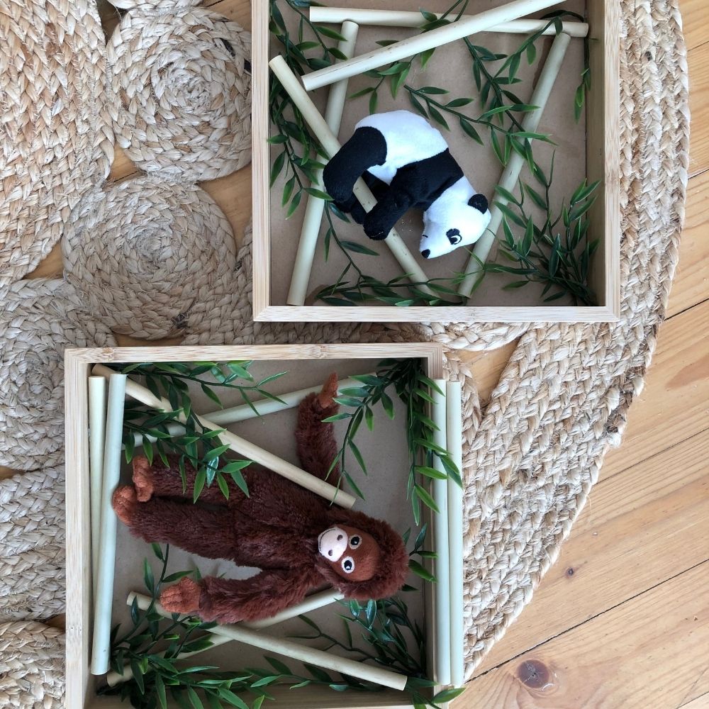 IKEA RIBBA Hack - Jungle decoratie